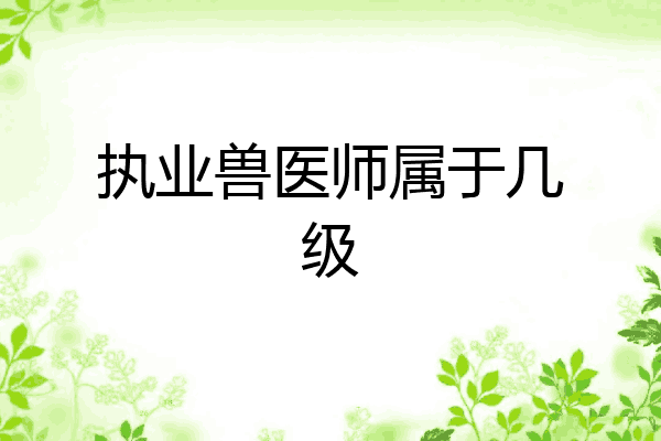 执业兽医师属于几级