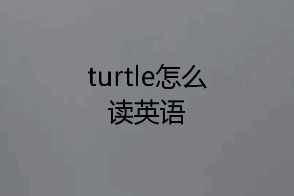turtle怎么读英语