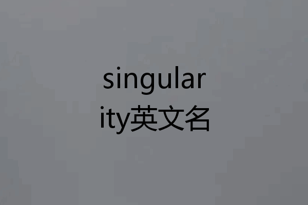 singularity英文名