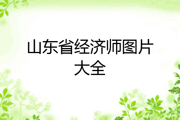 山东省经济师图片大全