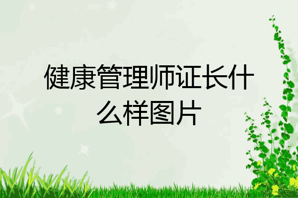 健康管理师证长什么样图片