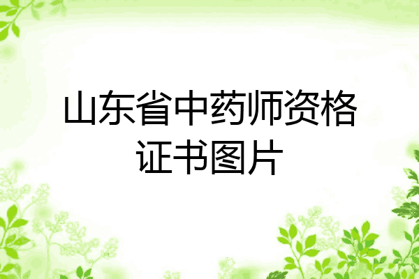 山东省中药师资格证书图片