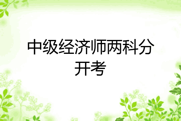 中级经济师两科分开考