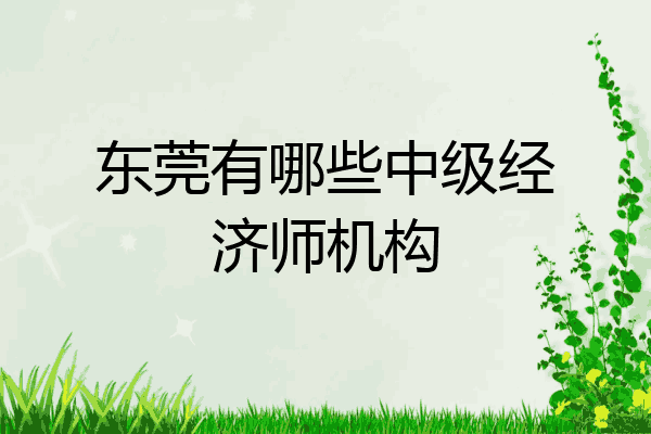 东莞有哪些中级经济师机构
