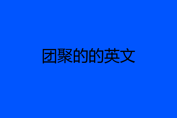 团聚的的英文