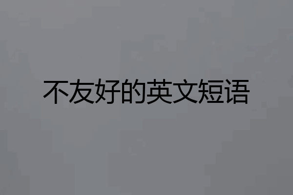 不友好的英文短语