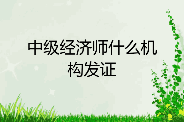 中级经济师什么机构发证