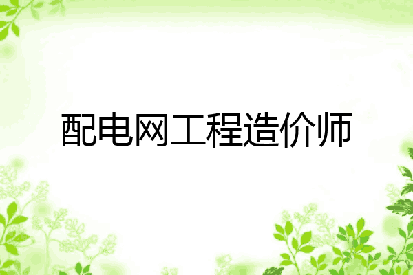 配电网工程造价师