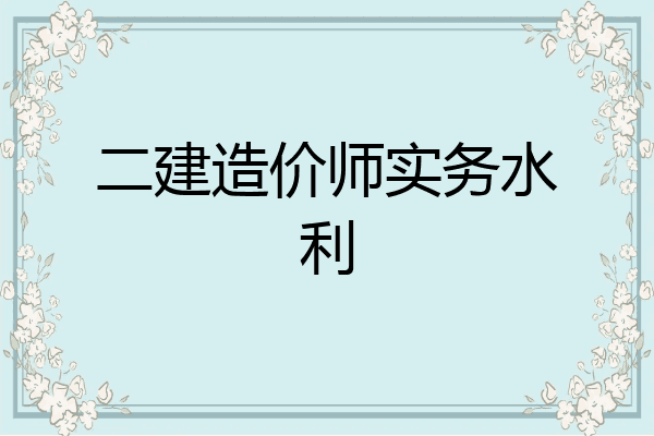 二建造价师实务水利