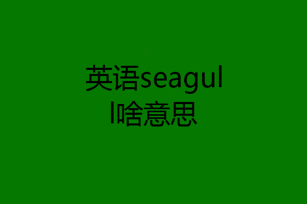 英语seagull啥意思