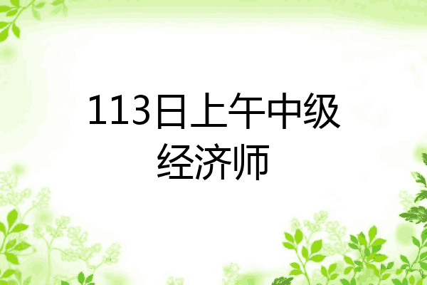 113日上午中级经济师