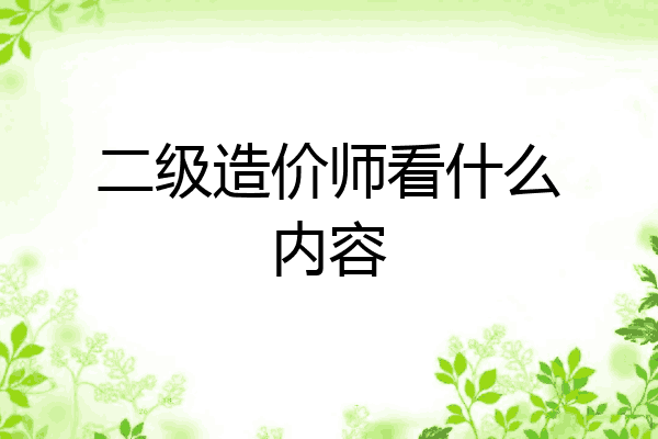 二级造价师看什么内容