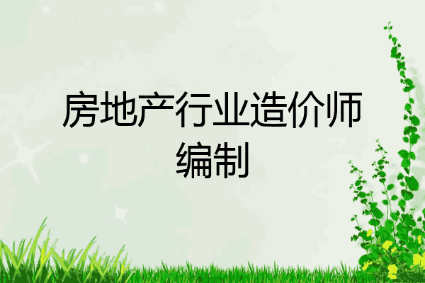 房地产行业造价师编制