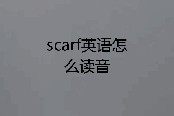 scarf英语怎么读音