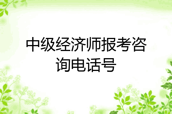 中级经济师报考咨询电话号