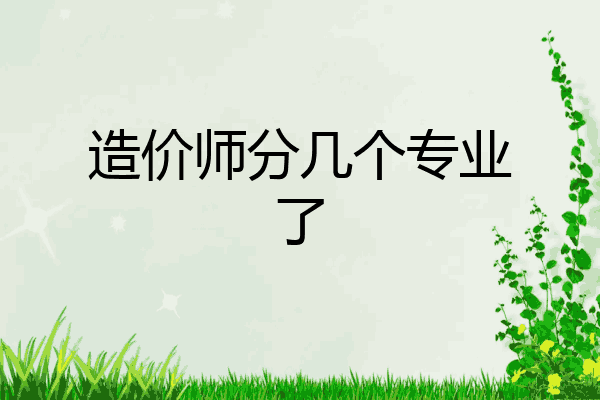 造价师分几个专业了