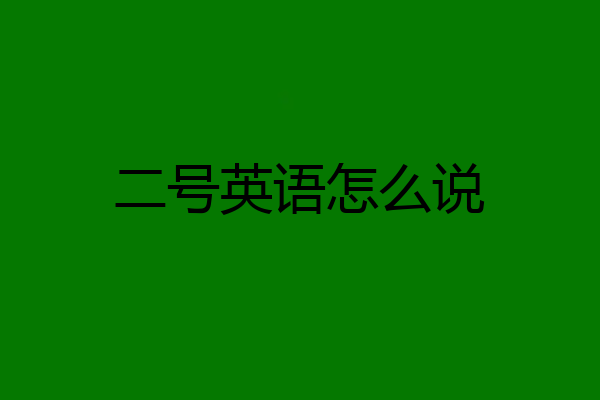 二号英语怎么说
