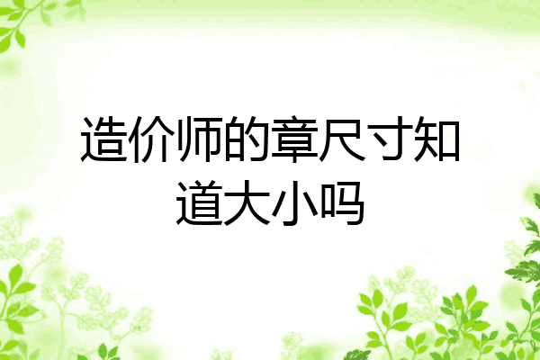 造价师的章尺寸知道大小吗