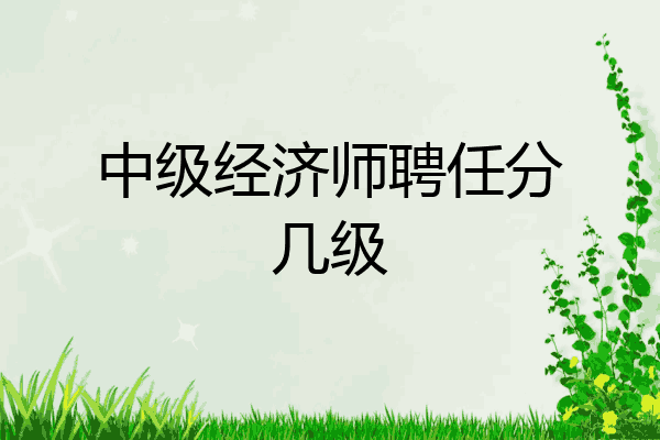 中级经济师聘任分几级