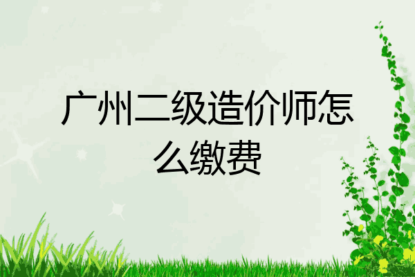 广州二级造价师怎么缴费