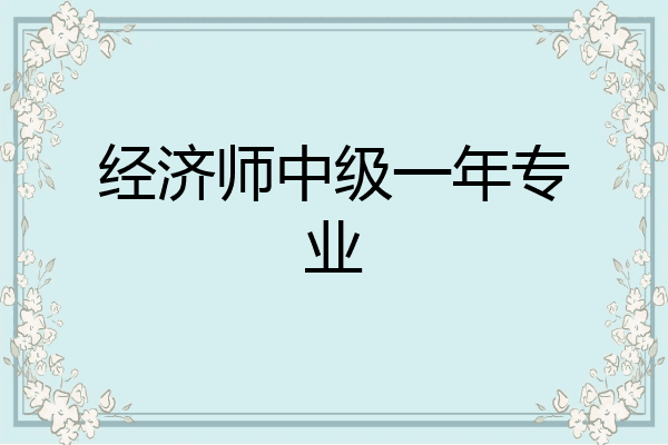 经济师中级一年专业