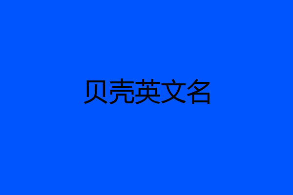 贝壳英文名