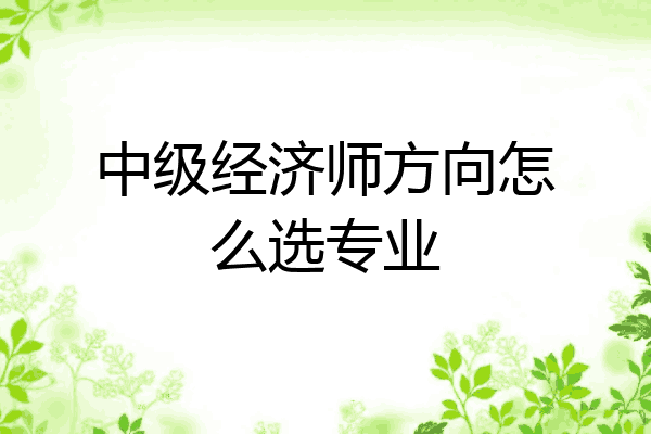 中级经济师方向怎么选专业