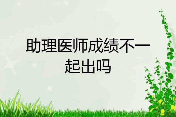 助理医师成绩不一起出吗