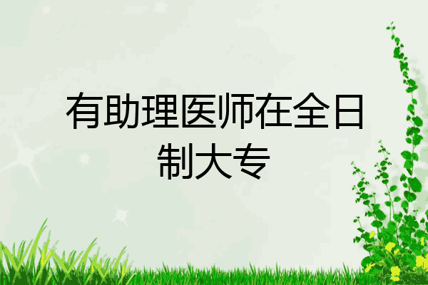 有助理医师在全日制大专