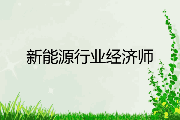 新能源行业经济师
