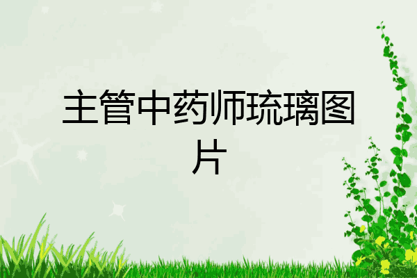 主管中药师琉璃图片