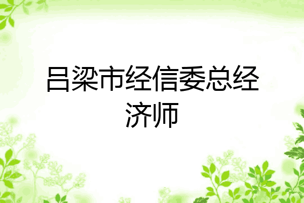 吕梁市经信委总经济师