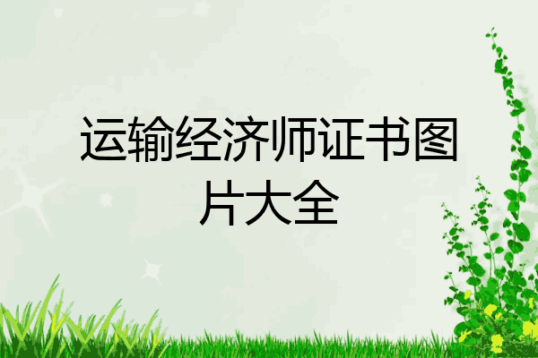 运输经济师证书图片大全