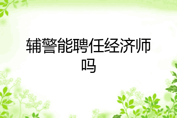 辅警能聘任经济师吗