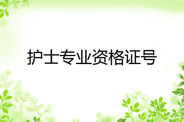 护士专业资格证号