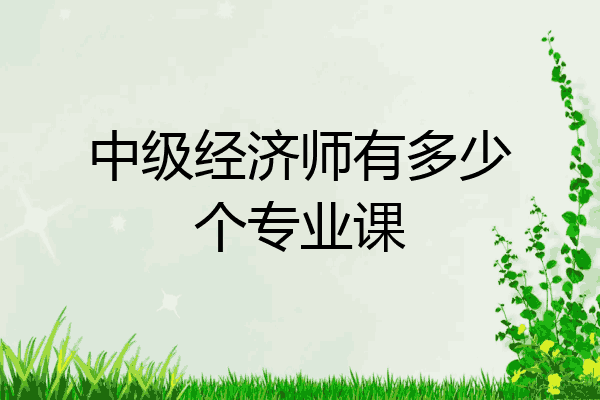 中级经济师有多少个专业课