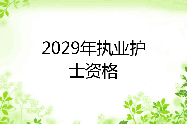 2029年执业护士资格