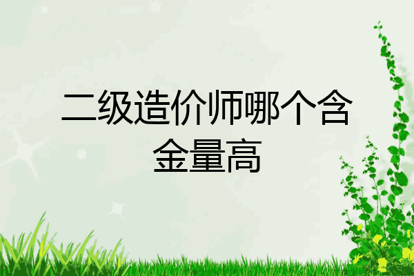 二级造价师哪个含金量高