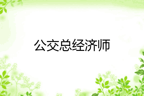 公交总经济师