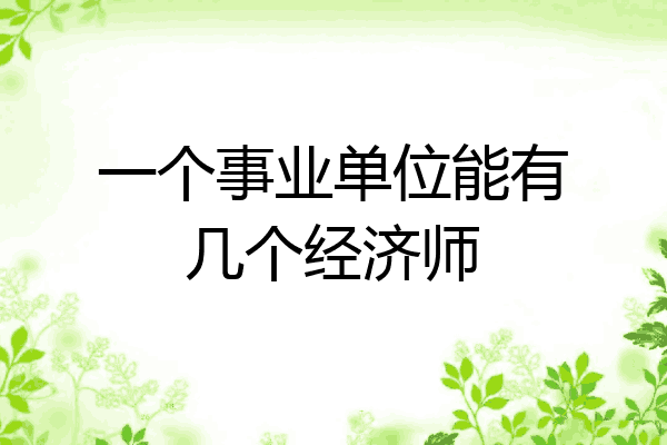 一个事业单位能有几个经济师