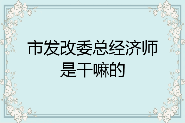市发改委总经济师是干嘛的