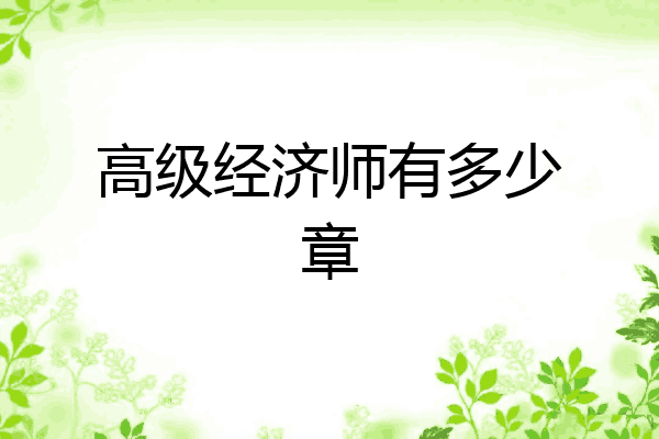 高级经济师有多少章
