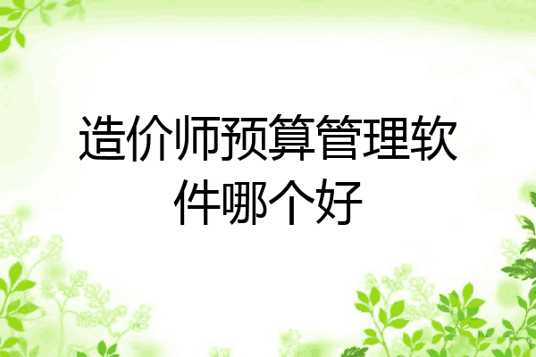 造价师预算管理软件哪个好
