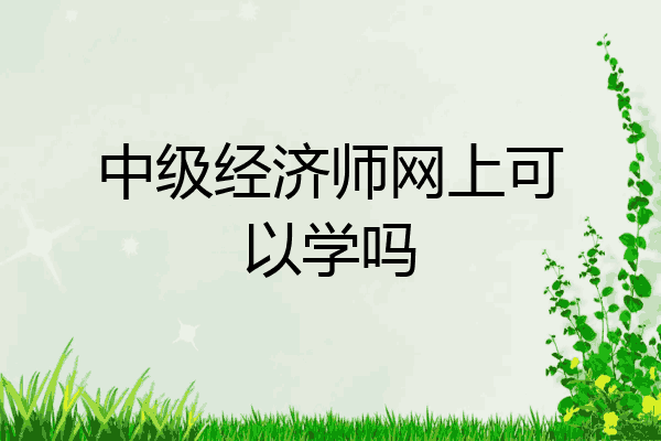 中级经济师网上可以学吗