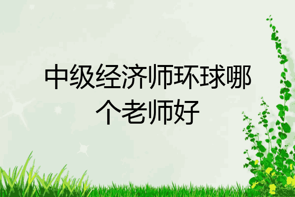 中级经济师环球哪个老师好