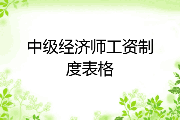 中级经济师工资制度表格
