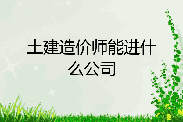 土建造价师能进什么公司