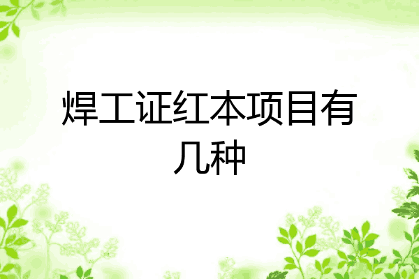 焊工证红本项目有几种