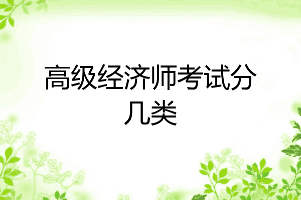 高级经济师考试分几类
