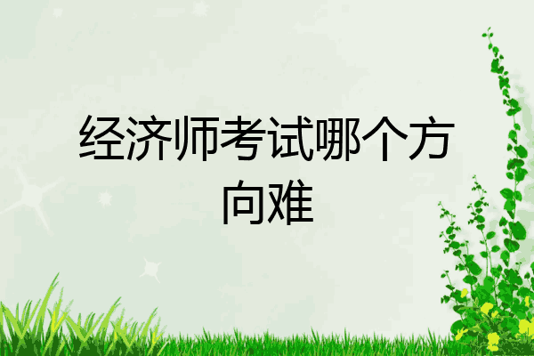 经济师考试哪个方向难